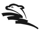 Ship Projects Engineering