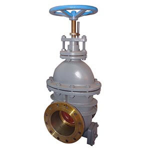 gate valve