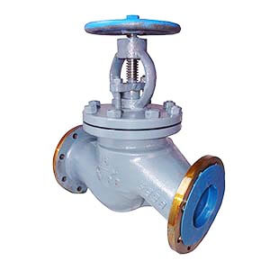 globe valve